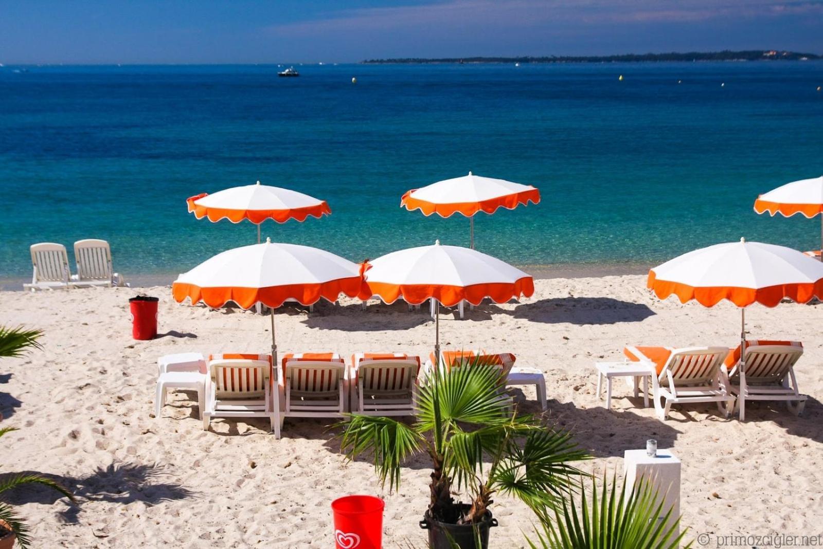 Flore Juan-les-Pins Luaran gambar
